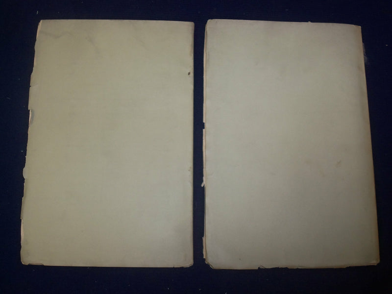 1903-1904 BOSTON SOCIETY PROCEEDINGS ANNUAL REPORTS - LOT OF 2 - O 226F