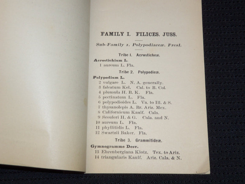 1895 THE PTERIDOPHYTA OF NORTH AMERICA - NORTH OF MEXICO - BINGHAMTON NY- J 7962