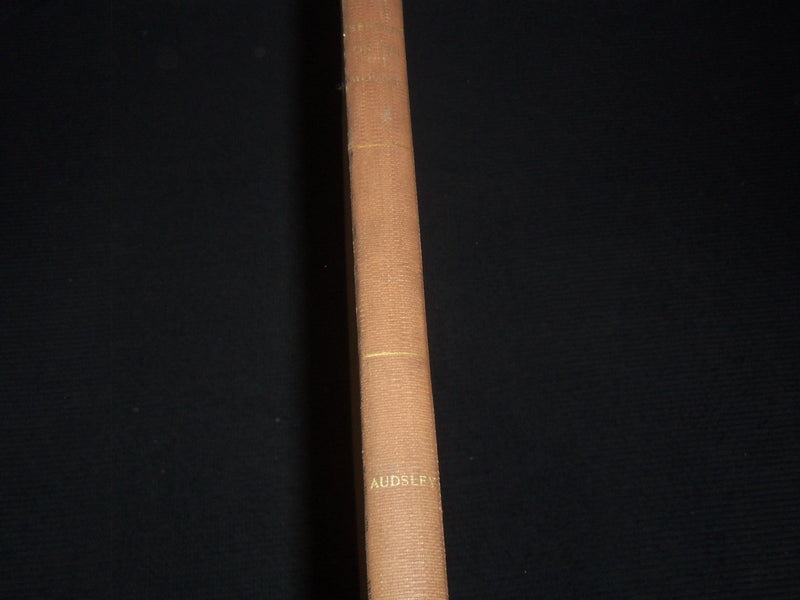 1861 SERMON ON THE MOUNT ILLUMINATED BY W & G AUDSLEY - CHARLES ROLT - Z 252
