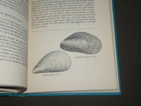 1961 SHELLS OF THE NEW YORK CITY AREA BY JACOBSON & EMERSON - KD 4415