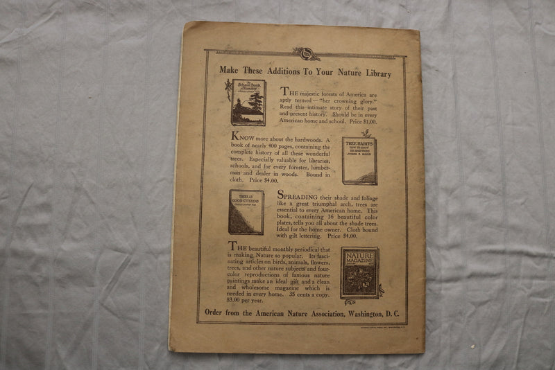 1925 NOVEMBER NATURE MAGAZINE - F 255C