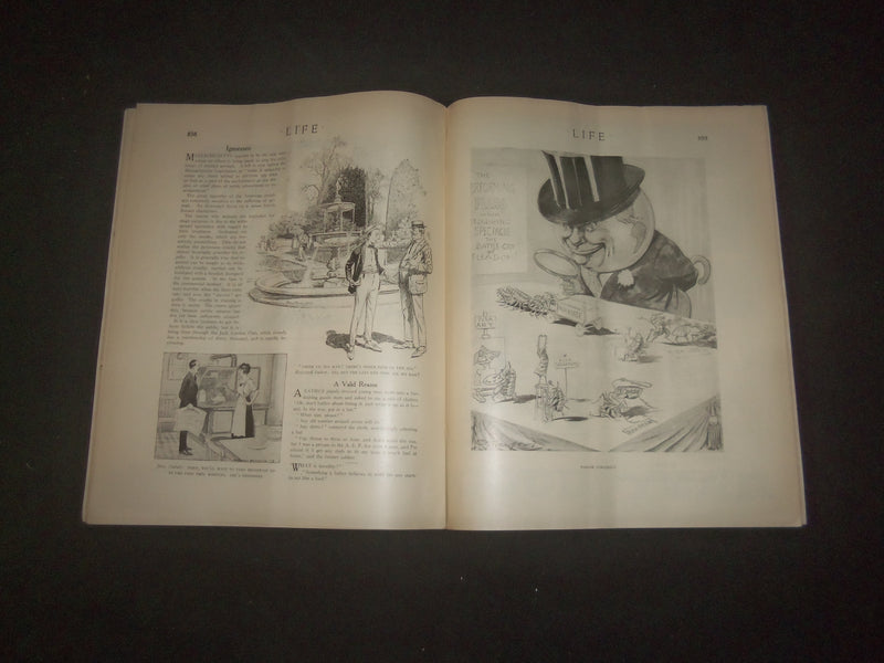 1919 MAY 15 LIFE MAGAZINE - VETERANS' NUMBER - THE VETERAN - L 769C