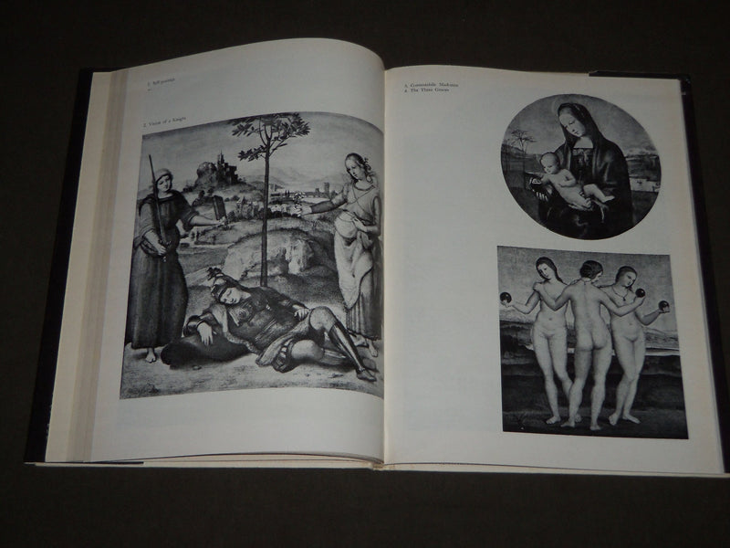 1974 RAPHAEL HARDCOVER BOOK BY VASILE FLOREA - NICE PRINTS - D 229