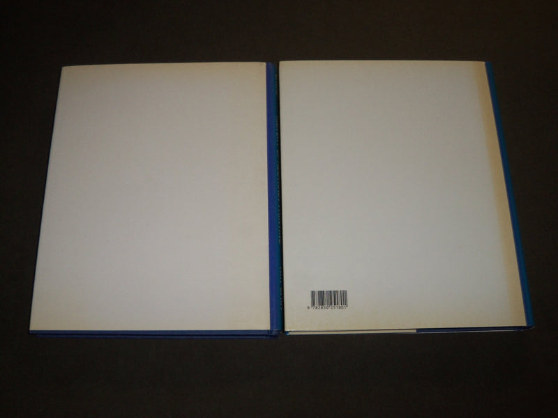 1989 HISTORY OF ABSTRACT PAINTING ART CATALOG LOT OF 2 - JEAN LUC DAVAL- KD 5102