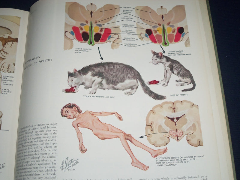 1964 CIBA COLLECTION OF MEDICAL ILLUSTRATIONS VOL NO. 1 - NERVOUS SYS. - KD 2343