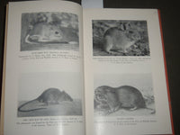 1948 VANDALS OF THE NIGHT BY J. LAURENS NICHOLES BOOK - RATS - KD 4508