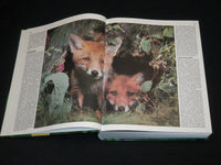 1993 DASS GROBE BUCH DER TIERWELT HARDCOVER BOOK BY HEINZ SIELMANN - R 714R