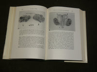 1966 THE EVOLUTION OF URBAN SOCIETY BOOK BY ROBERT MCC. ADAMS - KD 6147