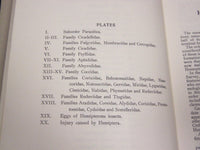 1923 GUIDE TO THE INSECTS OF CONNECTICUT BULLETIN NO. 34 - NICE ILLUS. - KD 988