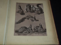 1911 ETUDES D'ANIMAUX FRENCH VOLUME BY M. MEHEUT - 50 ANIMAL PLATES - Z 277