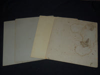 G. C. BIRD, JR MOUNTED PHOTOGRAPHS LOT OF 4 - #188