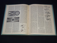 1933 BEGINNINGS IN WOOD CARVING SOFTCOVER BOOK BY W. CLYDE LAMMEY - J 8044