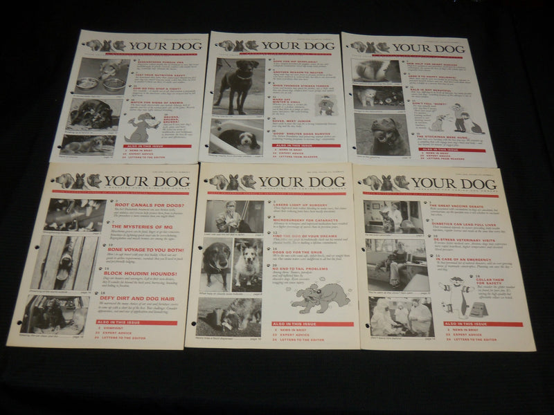 2000-2002 DOG WATCH + YOUR DOG MAGAZINE LOT OF 19 ISSUES - O 2436