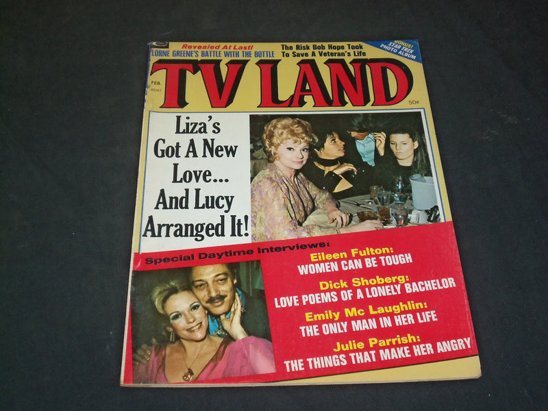 1973 FEBRUARY TV LAND MAGAZINE - LIZA MINNELLI - SP 6499