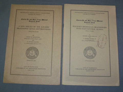 1951 & 1966 SILICIFIED ORDOVICIAN & JURASSIC BRACHIOPOD - LOT OF 2 - J 4959