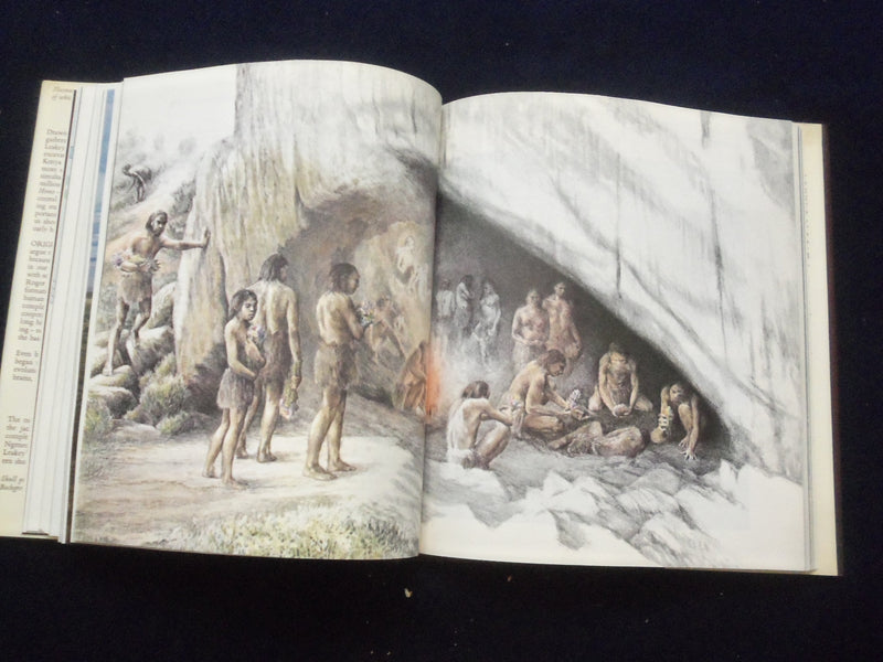 1977 ORIGINS HARDCOVER BOOK BY RICHARED E. LEAKEY AND ROGER LEWIN - KD 8338