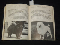 1952 PLAIN TALK ABOUT DOGS BOOK BY MRS. SHERMAN R. HOYT - K 2656