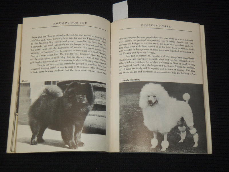 1952 PLAIN TALK ABOUT DOGS BOOK BY MRS. SHERMAN R. HOYT - K 2656