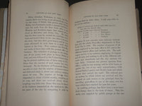 1880 OLD NEW YORK A LECTURE BY WILLIAM E. DODGE SOFTCOVER BOOK - J 3162