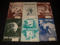 1953-1956 JUNIOR NATURAL HISTORY MAGAZINE LOT OF 35 ISSUES - O 1779C