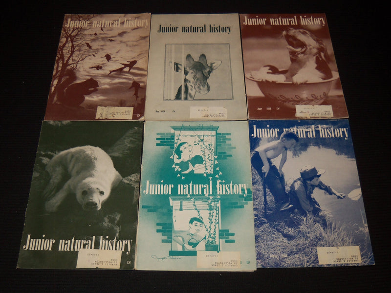 1953-1956 JUNIOR NATURAL HISTORY MAGAZINE LOT OF 35 ISSUES - O 1779C