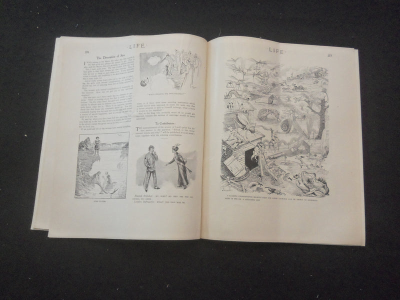 1913 AUGUST 14 LIFE MAGAZINE - SUMMER JOYS - L 758A