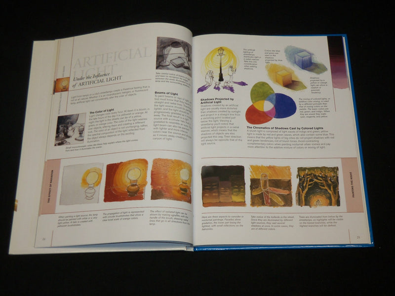 2008 PAINTING LIGHT AND SHADE HARDCOVER BOOK - GREAT PHOTOS - I 1878