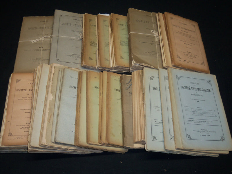 1891-1911 ANNALES SOCIETE ENTOMOLOGIQUE DE FRANCE ET BELGIQUE HUGE LOT - WR 140