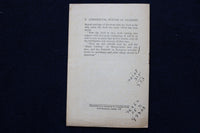 1917 THE COMMERCIAL FUTURE OF BAGHDAD - SOFTCOVER BOOKLET - K 1552