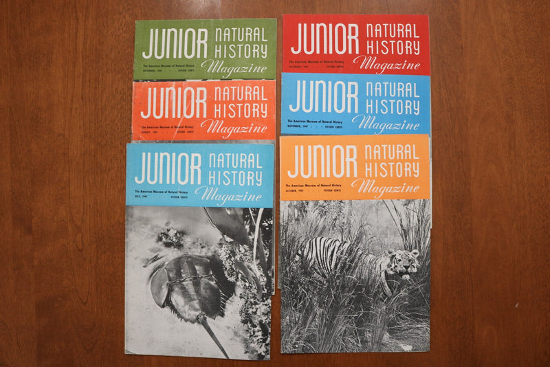1946-1949 JUNIOR NATURAL HISTORY MAGAZINE - LOT OF 36 - O 3926
