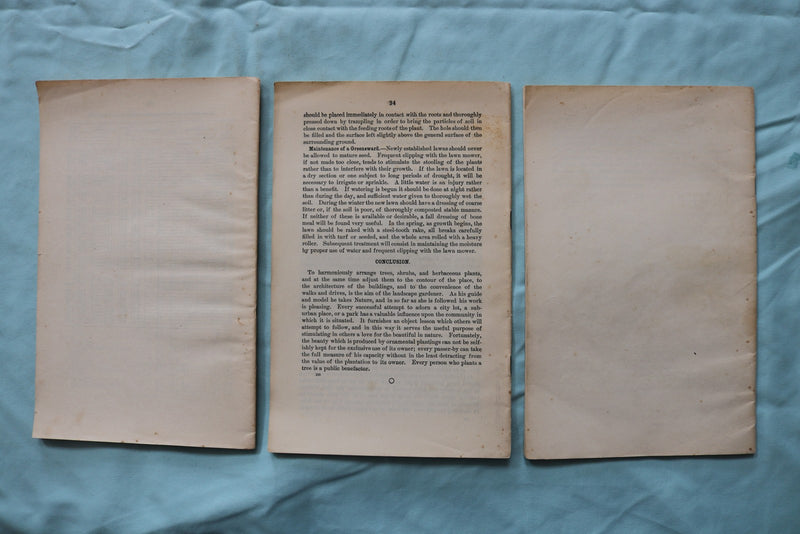 1904-1907 U.S. DEPT OF AGRICULTURE BULLETINS - LOT OF 3 - SOFTCOVER - K 3254