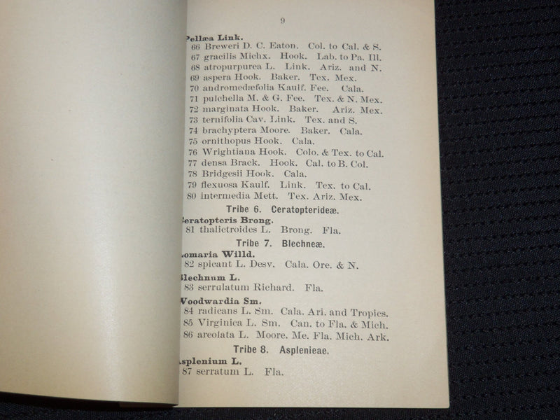 1895 THE PTERIDOPHYTA OF NORTH AMERICA - NORTH OF MEXICO - BINGHAMTON NY- J 7962