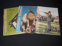 1964-1965 THE AMERICAN RIFLEMAN MAGAZINE LOT OF 15 ISSUES - O 3196E