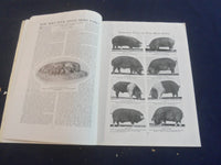 1923 DECEMBER THE FIELD ILLUSTRATED MAGAZINE - B 4164F