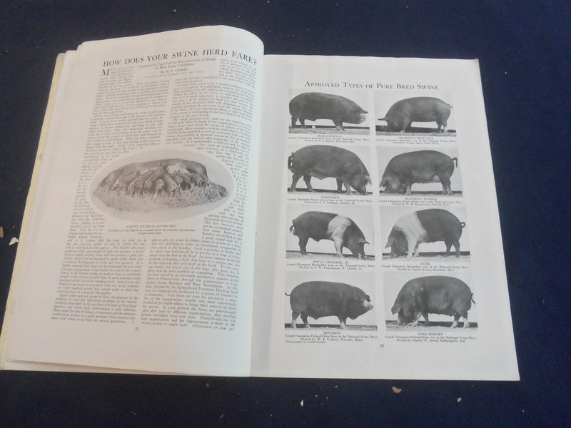 1923 DECEMBER THE FIELD ILLUSTRATED MAGAZINE - B 4164F