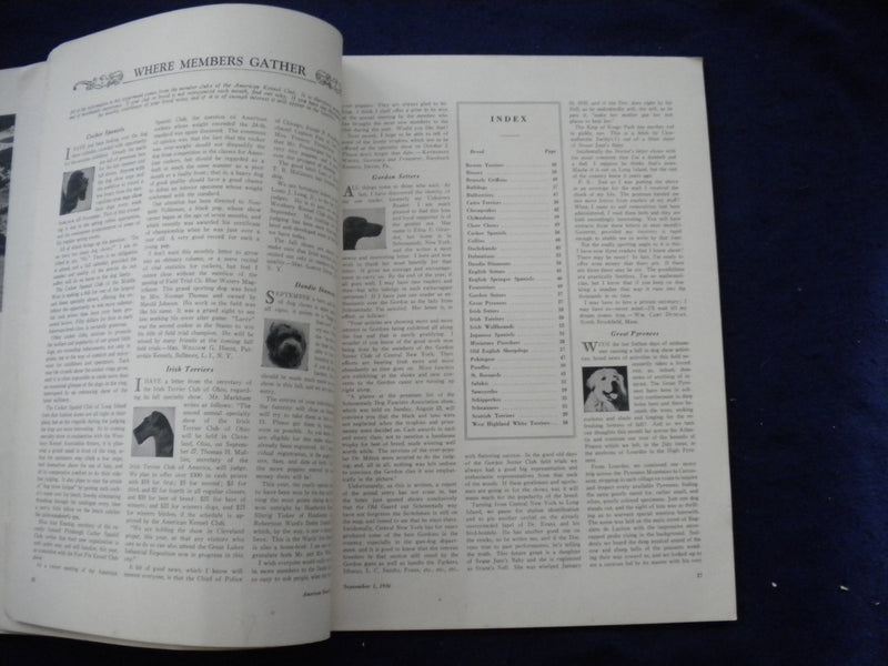 1936 SEP 1 THE AMERICAN KENNEL GAZETTE MAGAZINE - HANKA-FLOTTENBERG - SP 3625N