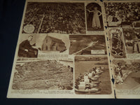 1930 NOV 2 PITTSBURGH SUN TELEGRAPH GRAVURE - THREE CLOWNS - KNIGHT - NT 9586