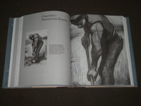 2012 DRAWINGS ON THE RIGHT SIDE OF THE BRAIN BOOK INSCRIBED BY EDWARDS - D 201