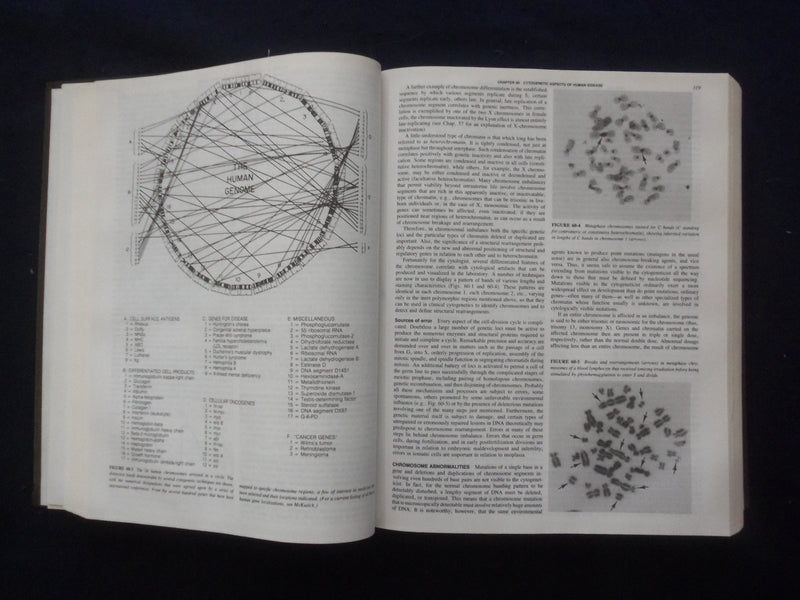 1987 HARRISON'S PRINCIPLES OF INTERNAL MEDICINE HARDCOVER BOOK - FAUCI - KD 8893