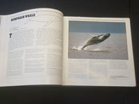 1984 THE WORLD'S WHALES, COMPLETE ILLUSTRATED GUIDE HARDCOVER BOOK - R 735R