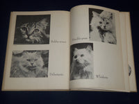 1950 THE BOOK OF CATS EDITED BY BRANT HOUSE - NICE PHOTOS - KD 3461