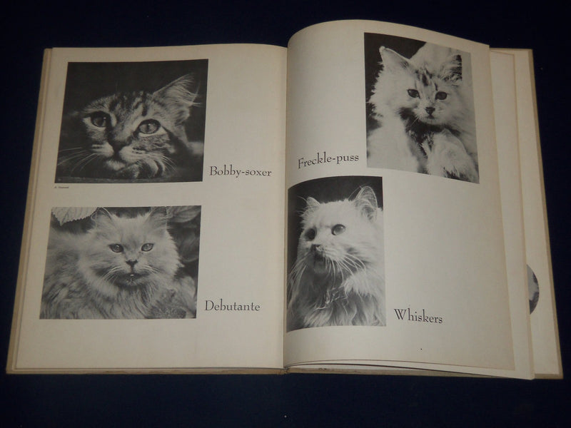 1950 THE BOOK OF CATS EDITED BY BRANT HOUSE - NICE PHOTOS - KD 3461