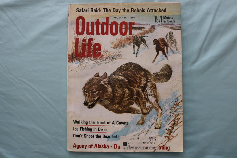 1971 JANUARY OUTDOOR LIFE MAGAZINE - ILLUSTRATED COYOTE COVER - E 26679