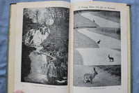 1947 SPRING THE COUNTRYMAN QUARTERLY MAGAZINE - K 3195