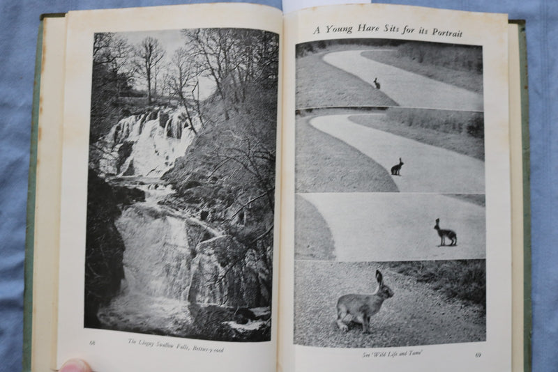 1947 SPRING THE COUNTRYMAN QUARTERLY MAGAZINE - K 3195