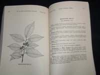 1920 WEST VIRGINIA TREES BULLETIN 175 - JOHN LEE COULTER - MORGANTOWN - J 9118