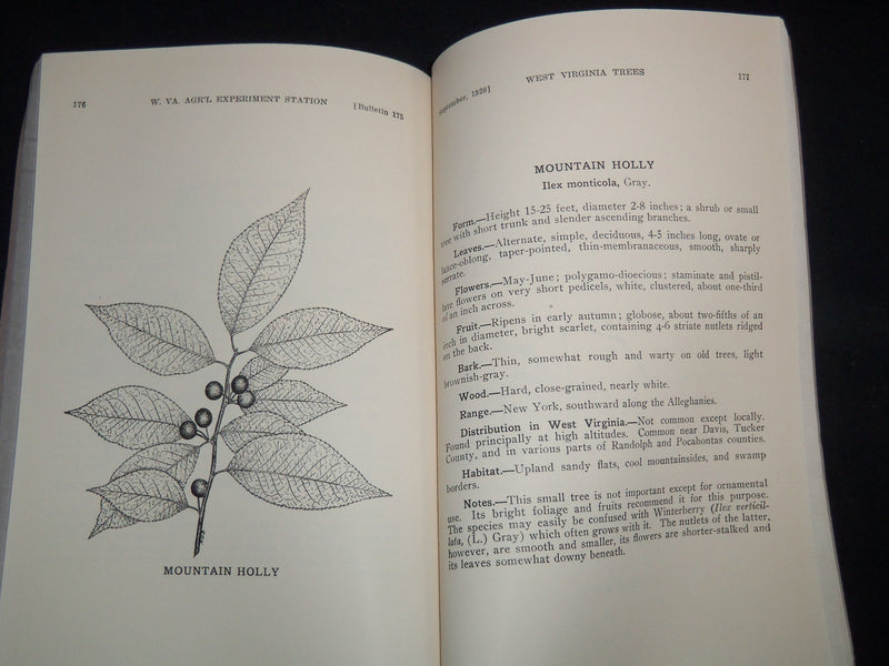 1920 WEST VIRGINIA TREES BULLETIN 175 - JOHN LEE COULTER - MORGANTOWN - J 9118