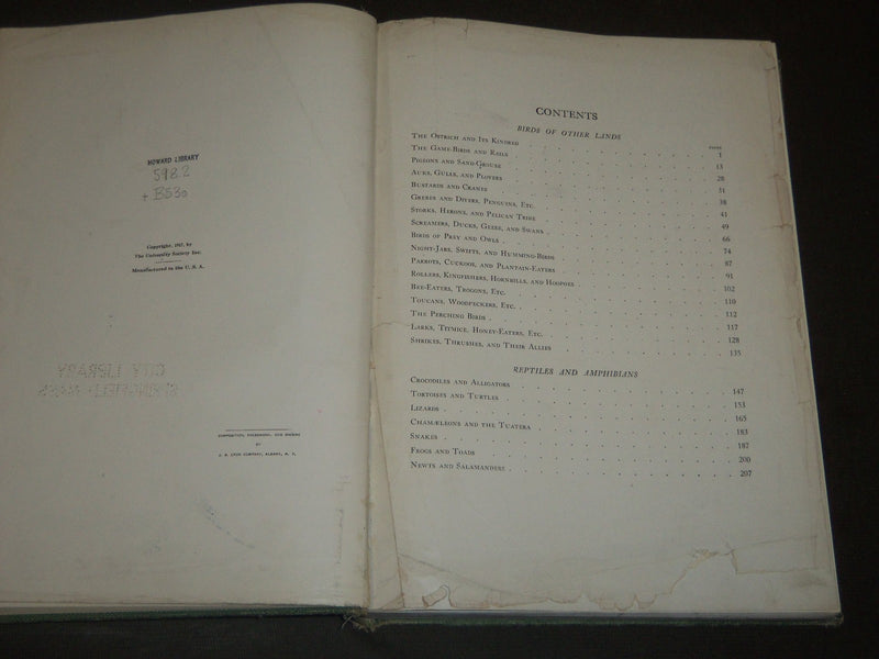 1917 BIRDS OF OTHER LANDS NATURE LOVERS LIBRARY - GREAT ILLUSTRATIONS - KD 32