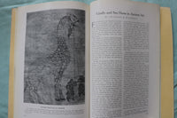 1917 NOVEMBER THE AMERICAN MUSEUM JOURNAL - PENGUINS - SOFTCOVER BOOK - K 3270