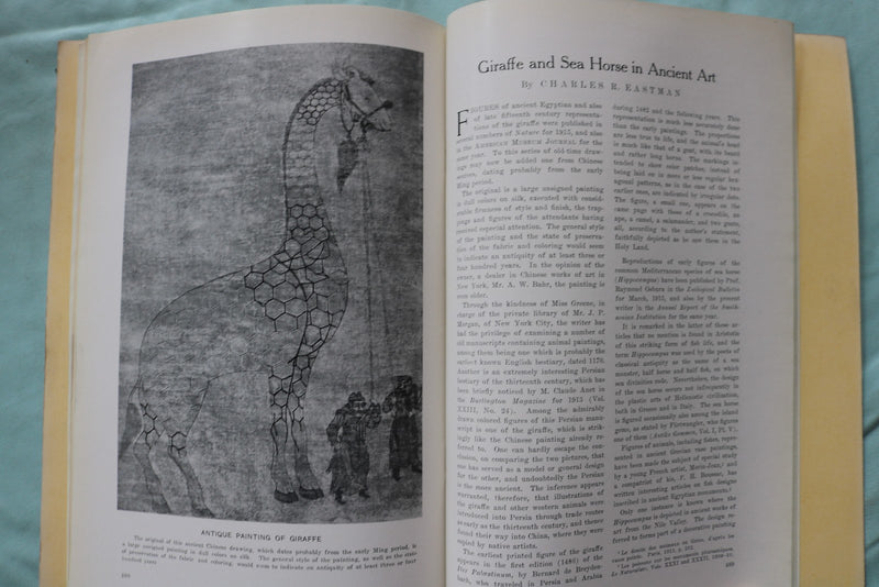 1917 NOVEMBER THE AMERICAN MUSEUM JOURNAL - PENGUINS - SOFTCOVER BOOK - K 3270